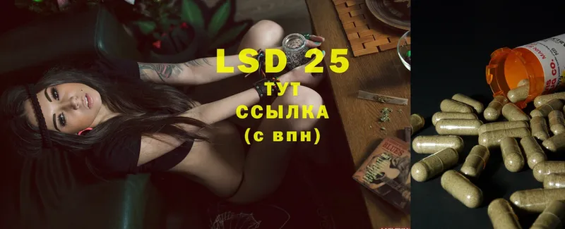 omg ONION  Полевской  Лсд 25 экстази ecstasy 